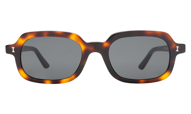Berlin Sunglasses front view in Havana with Grey