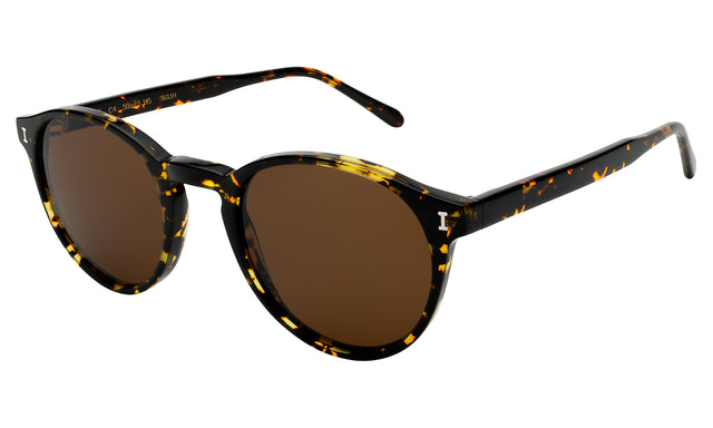Como Sunglasses Side Profile in Flame / Brown