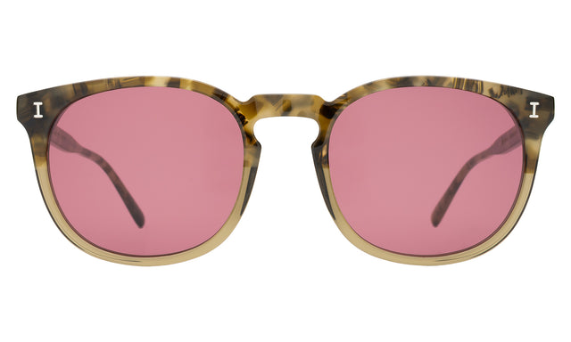 Eldridge 56 Sunglasses front view in Kale with Plum Flat See Through
