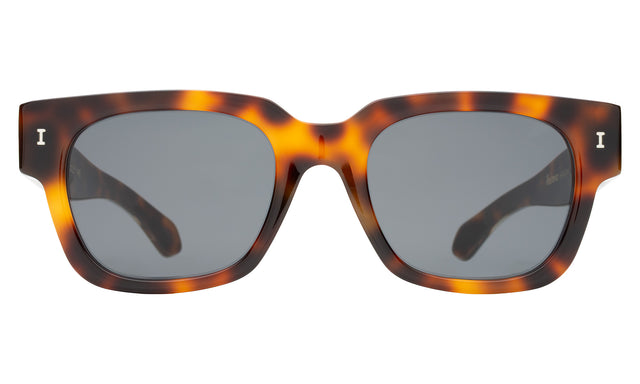 Francesco Sunglasses front view in Havana/Gold with Grey