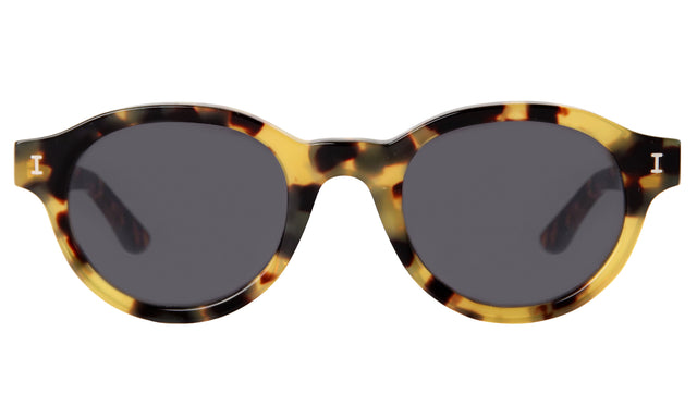 Medellin Sunglasses in Tortoise with Grey