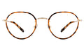 Front view of Oxford 52 Optical in Havana/Gold/Optical