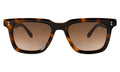 Front view of Toscana Sunglasses in Havana/Brown Gradient