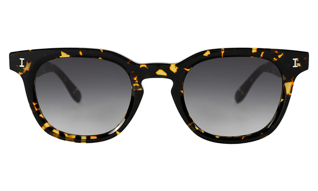 Veneto Sunglasses in Flame with Grey Flat Gradient