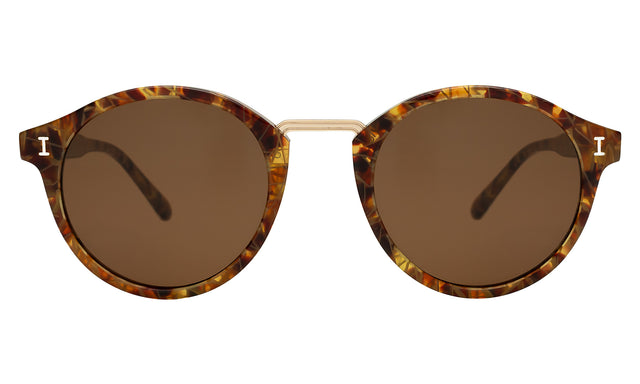 Village Sunglasses in Pecan/Gold with Brown