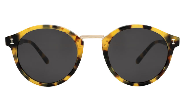 Village Sunglasses in Tortoise/Gold with Grey