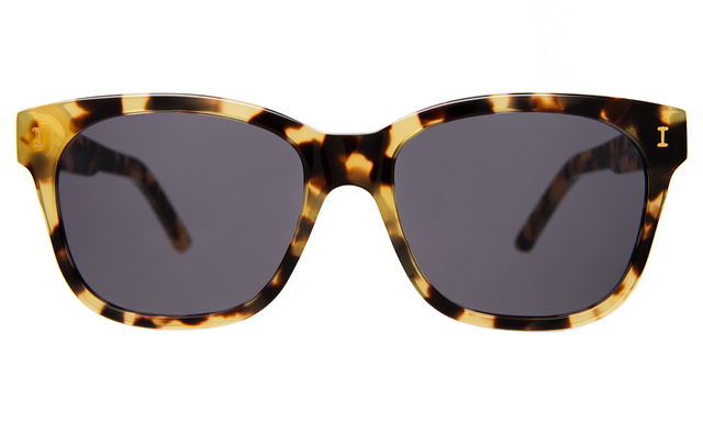 Mott Sunglasses front view in Tortoise