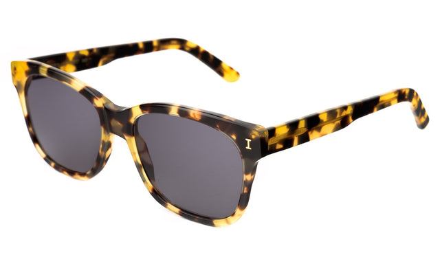 Mott Sunglasses side view in Tortoise
