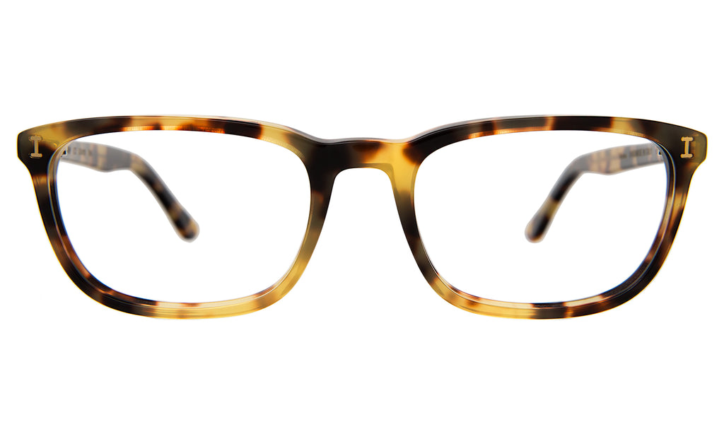 Albany Optical