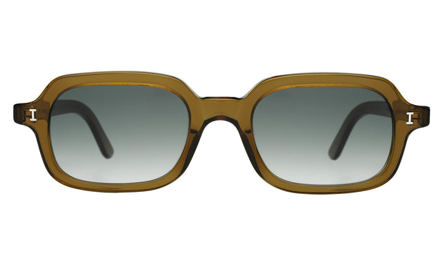 Berlin Sunglasses in Moss with Olive Gradient