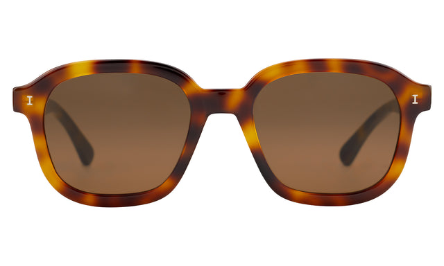 Bogota Sunglasses in Havana with Brown Flat