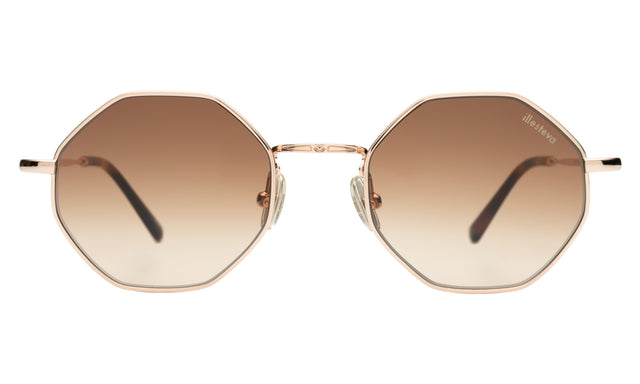 Broome Sunglasses in Rose Gold with Brown Flat Gradient