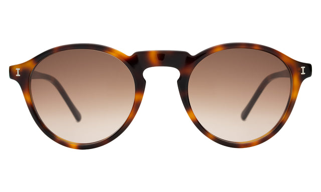 Capri Sunglasses front view in Havana with Brown Gradient