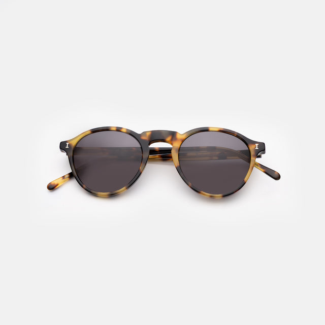 Capri Sunglasses side view in Tortoise / Grey