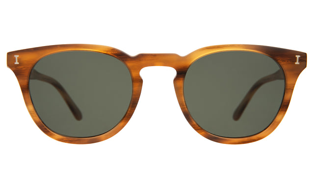 Eldridge 48 Light Sunglasses front view in Matte Teak with Olive Flat