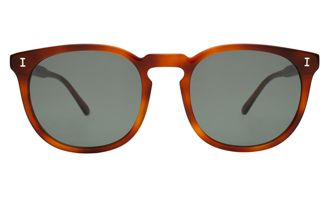 Eldridge 56 Sunglasses in Red Havana with Olive Flat