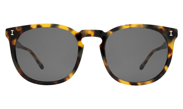 Eldridge 56 Sunglasses front view in Tortoise with Grey Flat