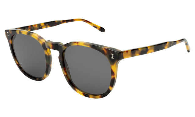 Eldridge 56 Sunglasses side view in Tortoise / Grey Flat