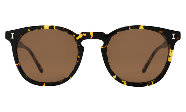 Eldridge Sunglasses in Flame with Brown Flat