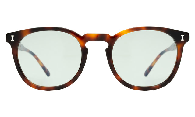 Eldridge Sunglasses front view in Havana with Sage Flat See Through