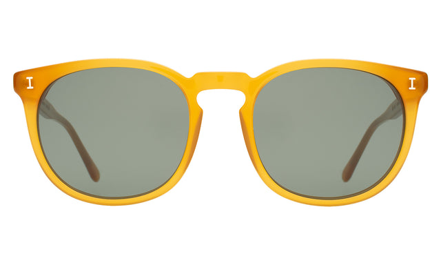 Eldridge 56 Sunglasses front view in Honey with Olive Flat