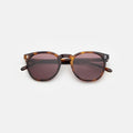 Front view of Eldridge Sunglasses in Havana/Plum Flat See Through