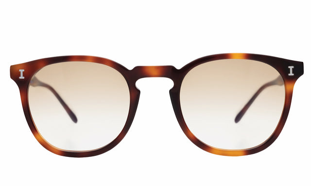 Eldridge Sunglasses front view in Havana with Taupe Flat Gradient