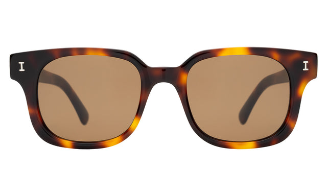 Ellison Sunglasses front view in Havana with Brown Flat