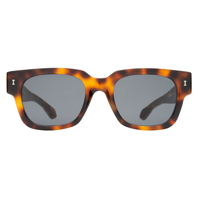 Francesco Sunglasses front view in Havana/Gold with Grey