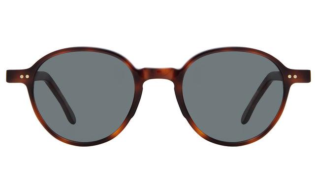 Frankfurt Sunglasses front view in Havana with Grey