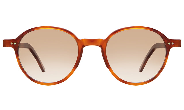 Frankfurt Sunglasses front view in Red Havana with Taupe Gradient