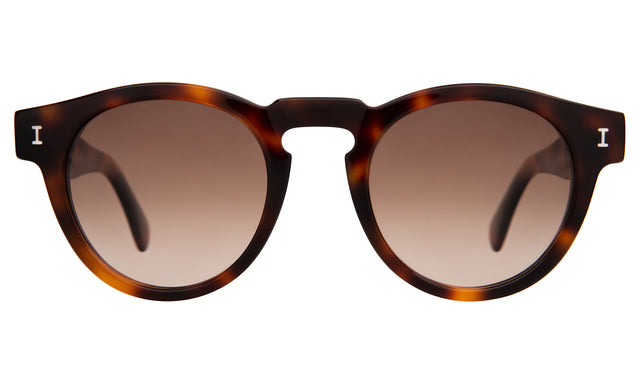 Leonard Sunglasses front view in Havana with Brown Gradient