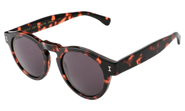 Leonard Sunglasses side view in Pink Tortoise / Grey