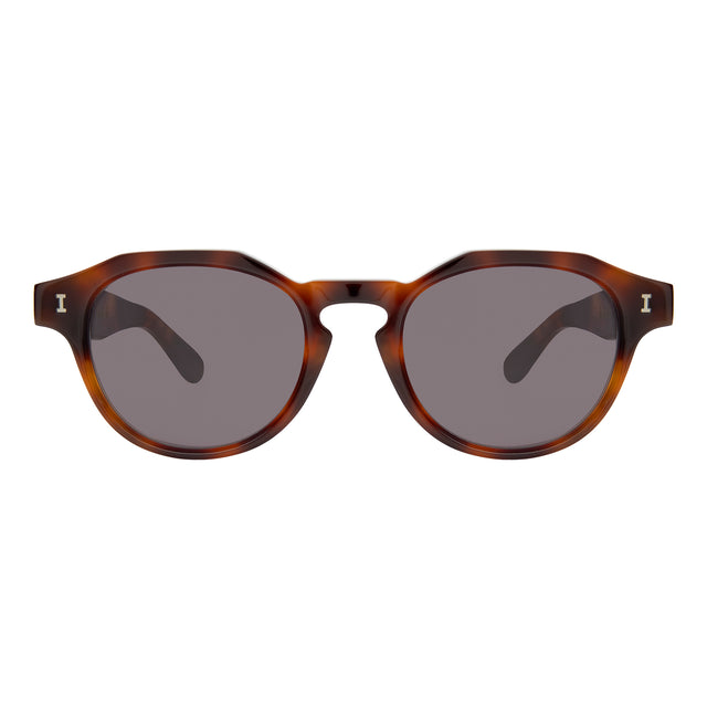 Michael Sunglasses front view in Havana with Grey
