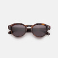 Front view of Michael Sunglasses in Havana/Grey