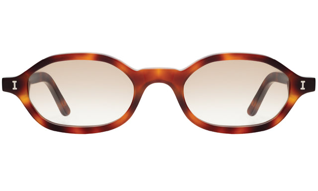 Munich Sunglasses front view in Havana with Taupe Flat Gradient