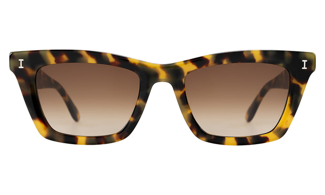Portugal Sunglasses in Tortoise with Brown Flat Gradient