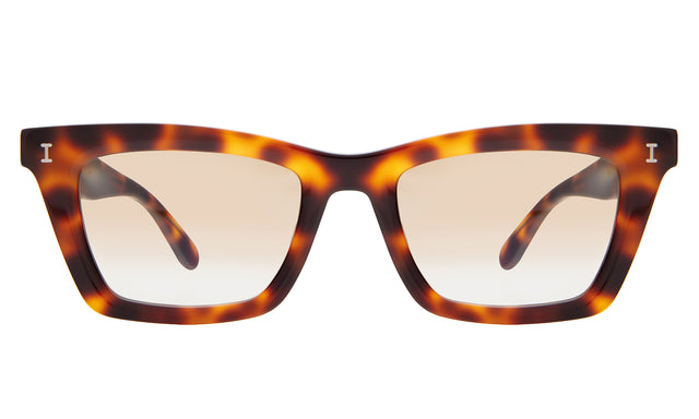 Portugal Sunglasses front view in Havana with Taupe Flat Gradient