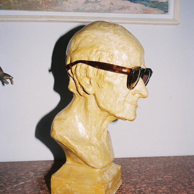 Marble statue bust displaying collaboration sunglasses  Havana with Plum See Through