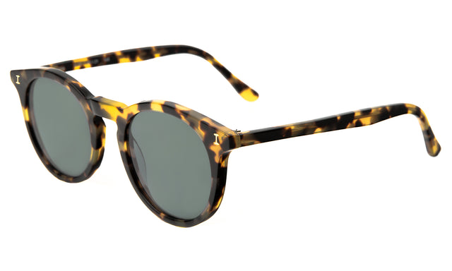 Sterling Polarized Sunglasses side view in Tortoise / Olive Polarized