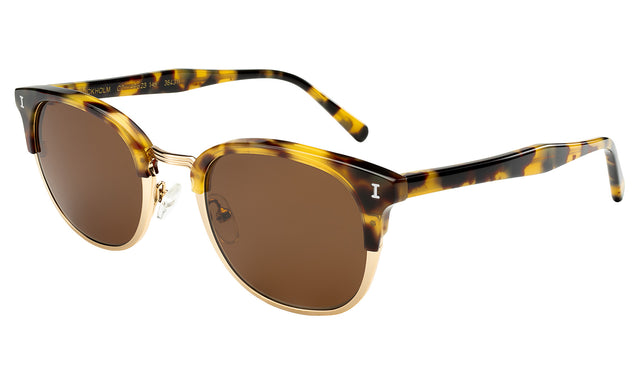 Stockholm Sunglasses Side Profile in Tortoise/Gold / Brown