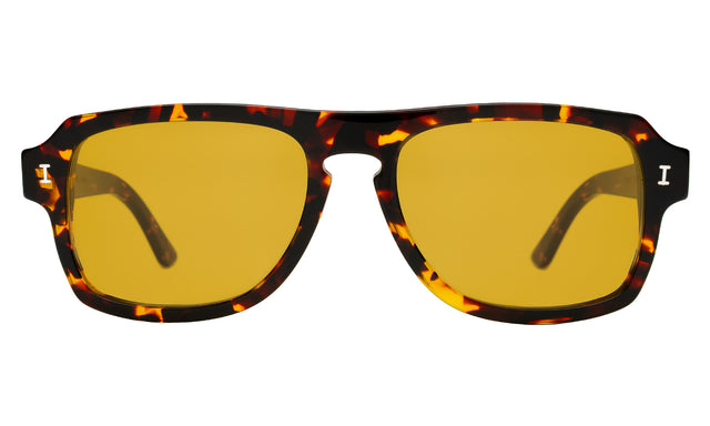 Trancoso Sunglasses in Star Tortoise with Honey See Through