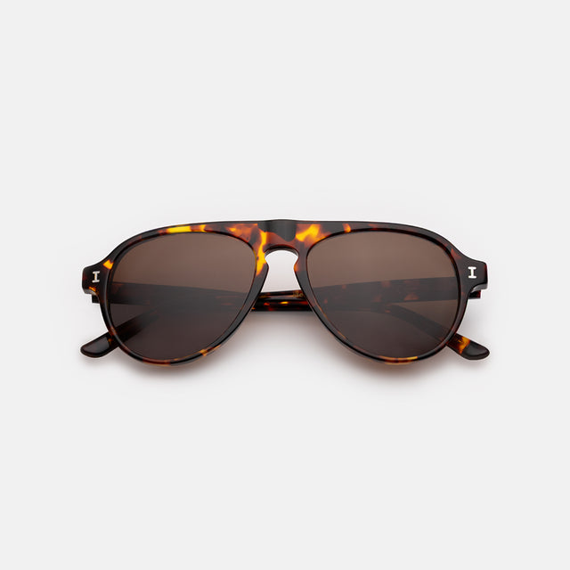 Vanderbilt Sunglasses front view in Star Tortoise with Brown