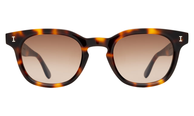 Veneto Sunglasses front view in Havana with Brown Flat Gradient