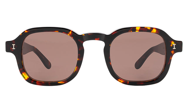 Washington Sunglasses in Star Tortoise with Brown Flat