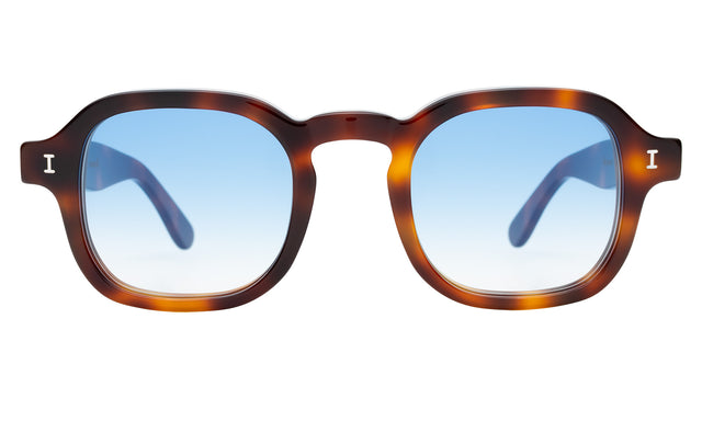 Washington Sunglasses in Havana with Blue Flat Gradient See Through