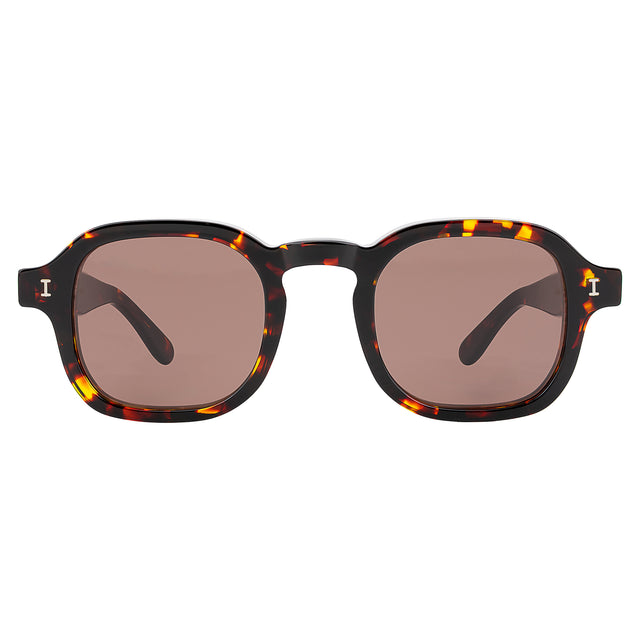 Washington Sunglasses front view in Star Tortoise with Brown Flat
