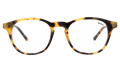 Front view of Whitman Optical in Tortoise/Optical