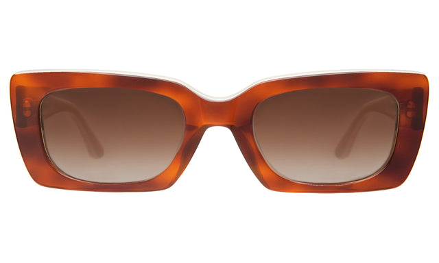 Wilson Sunglasses in Red Havana/White with Brown Flat Gradient