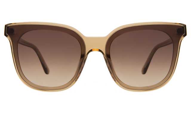 Camille 64 Sunglasses in Brown with Brown Flat Gradient